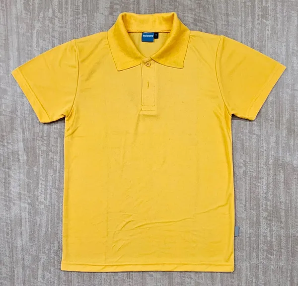 Blue_And_Yellow_Polo_T-Shirts_For_Men