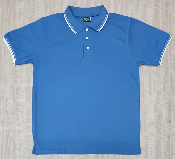 Blue_Regular_Fit_Polo_T-Shirt_for_Men