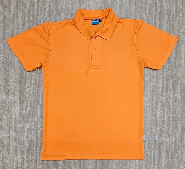 Orange_Regular_Fit_Polo_T-Shirt_for_Men