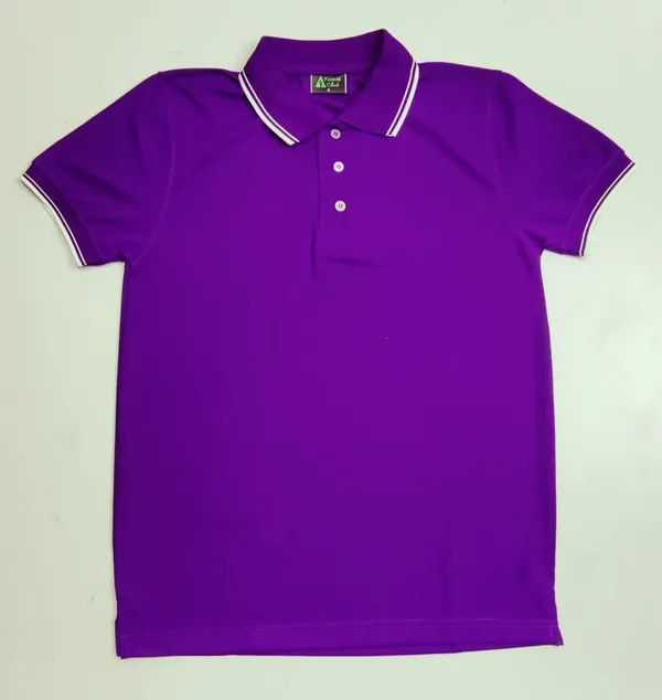 Purple_Polo_T-Shirt_for_Men