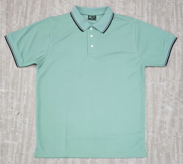Mint_Textured_Regular_Fit_Polo_T-Shirt_for_Men