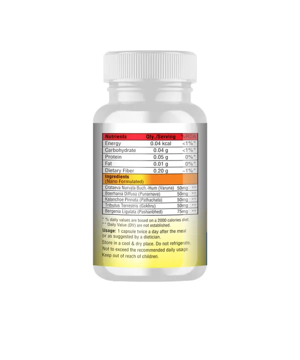 Dr_Vitasta_Kidney_Detox_Dietary_Supplement