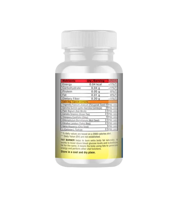 Dr_Vitasta_Fat_Burner_Formula_Dietary_Supplement