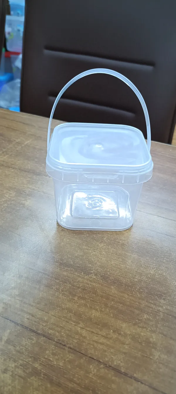 Clear_Plastic_Storage_Container_With_Handle_Pack_Of__12