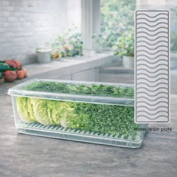 Clear_Plastic_Refrigerator_Vegetable_Storage_Container_Pack_Of__6