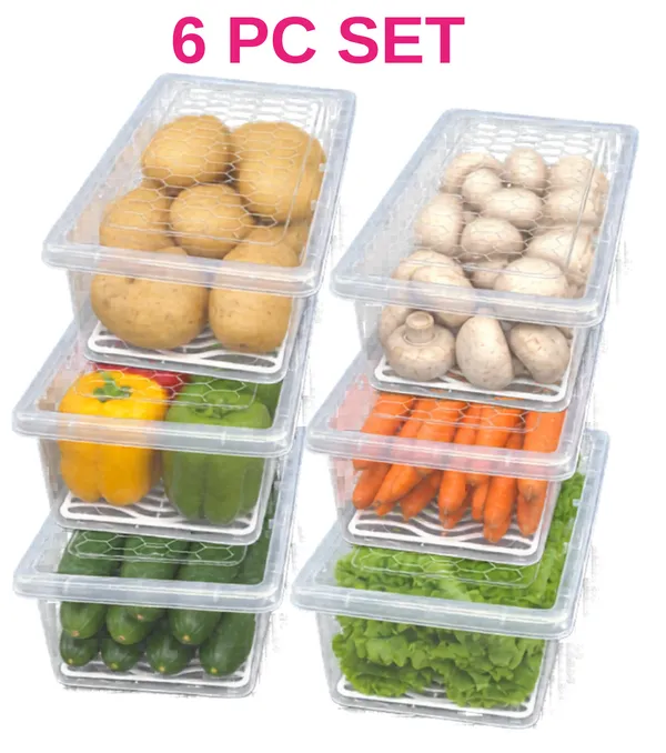 Clear_Plastic_Refrigerator_Vegetable_Storage_Container_Pack_Of__6