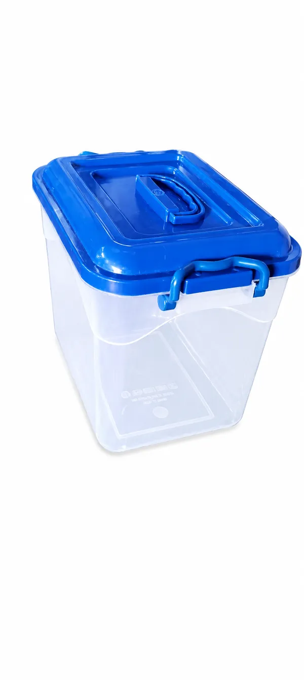 Plastic_Storage_Container_With_Blue_Lid_Pack_Of__2