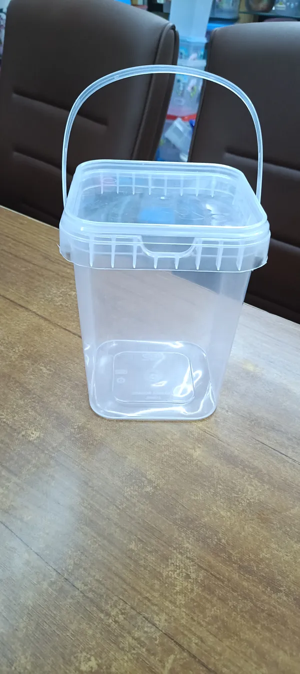 Transparent_Plastic_Bucket_With_Lid_And_Handle_Pack_Of__6