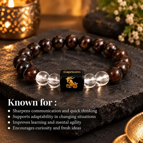 Brown_Energy_Stone_Beaded_Bracelet_For_Unisex