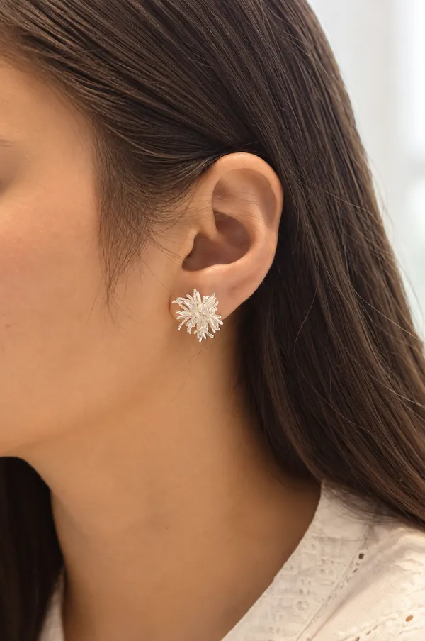 925_Silver_Starburst_Firework_Stud_Earring_for_Women