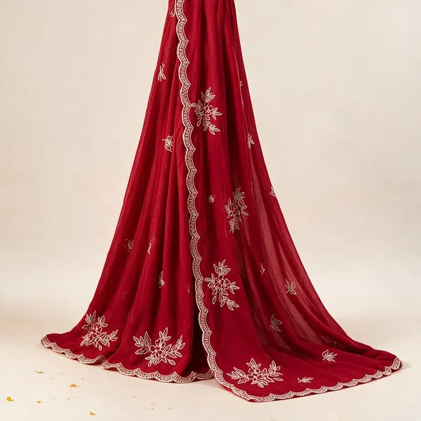 Red_Sheer_Embroidered_Saree_for_Women