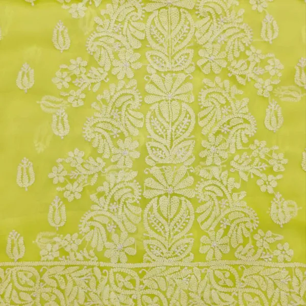 Lime_Green_Hand_Embroidered_Soft_Chiffon_Garth_Chikankari_Suit_Set_With_Dupatta