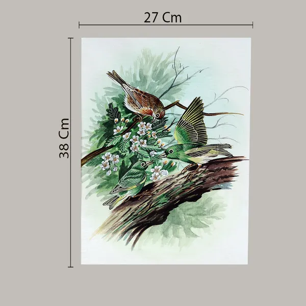 Handmade_Bird_Painting_Three_Birds_White_Border_White_Background