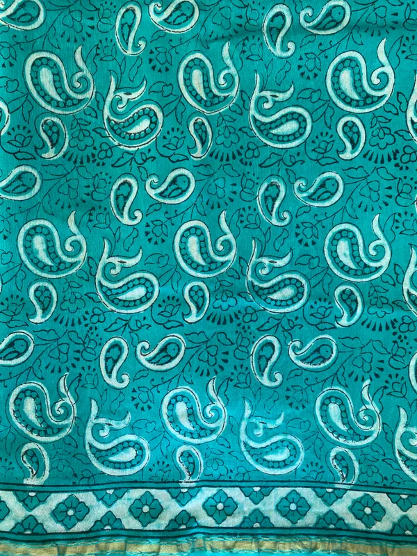 Hand_Blockprinted_Chanderi_Silk_Saree