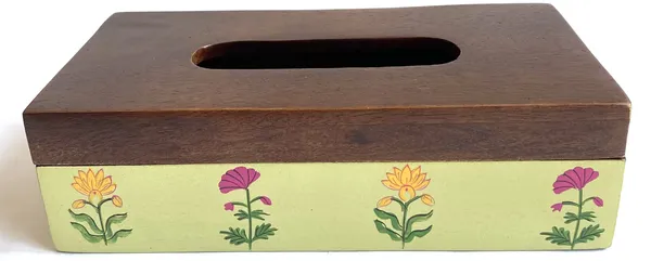 Handpainted_Antique_Look_Wooden_Tissue_Box_Pale_Green
