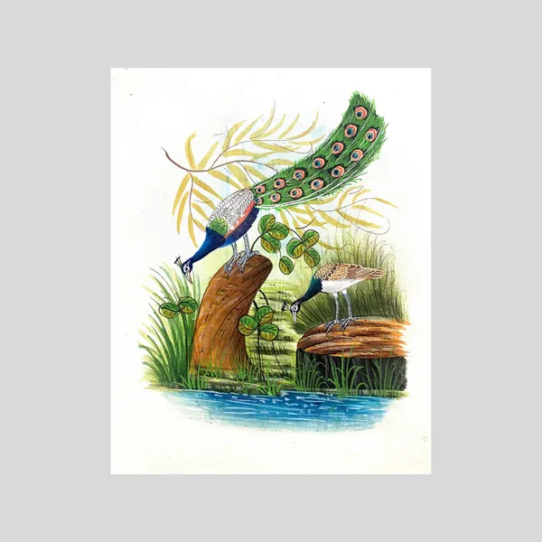 Handmade_Bird_Painting_Peacock_Peahen_White_Border_White_Background