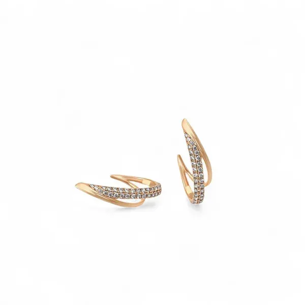 Arc_Of_Grace_Earrings_Default_Title