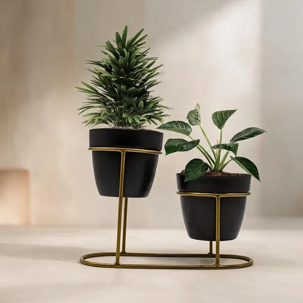 Black_&_Gold_Metal_Plant_Stand_For_Home_Decor