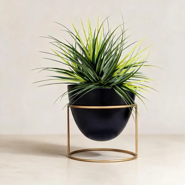 Black_&_Gold_Metal_Decorative_Accessory_For_Home_Decor