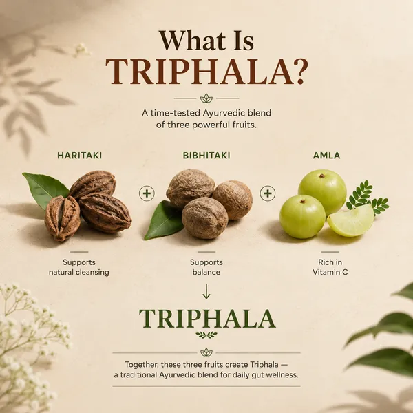 MittiBliss_Triphala_Churna_(Ayurvedic_Digestive_Support)_-_Pack_of_4