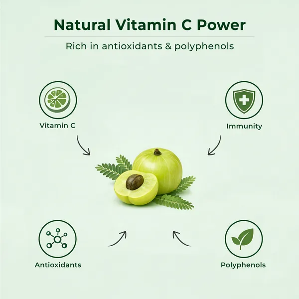 MittiBliss_Amla_Churna_(Pure_Indian_Gooseberry_Powder)_-_Pack_of_3