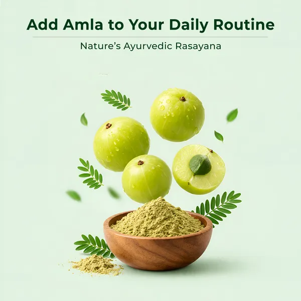 MittiBliss_Amla_Churna_(Pure_Indian_Gooseberry_Powder)_-_Pack_of_3