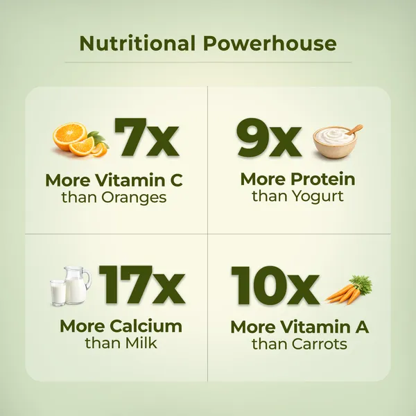 MittiBliss_Moringa_Powder_(Pure_Miracle_Tree_Leaf_Powder)