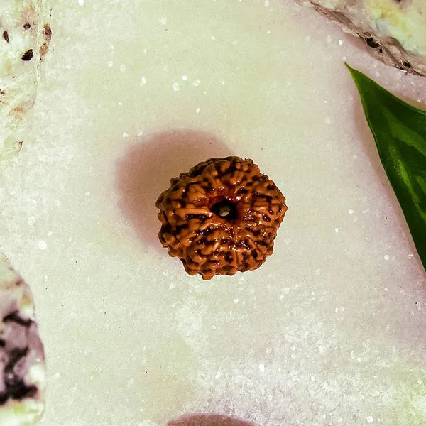 Brown_Natural_Rudraksha_Bead