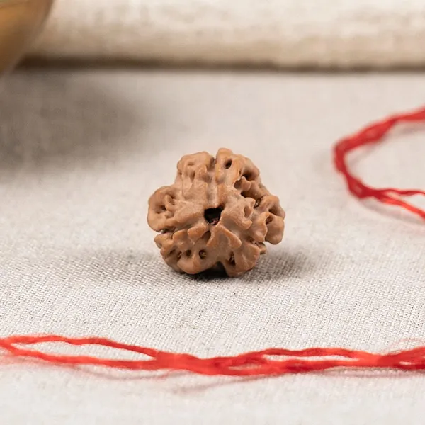 Brown_Rudraksha_Bead_With_Red_Thread