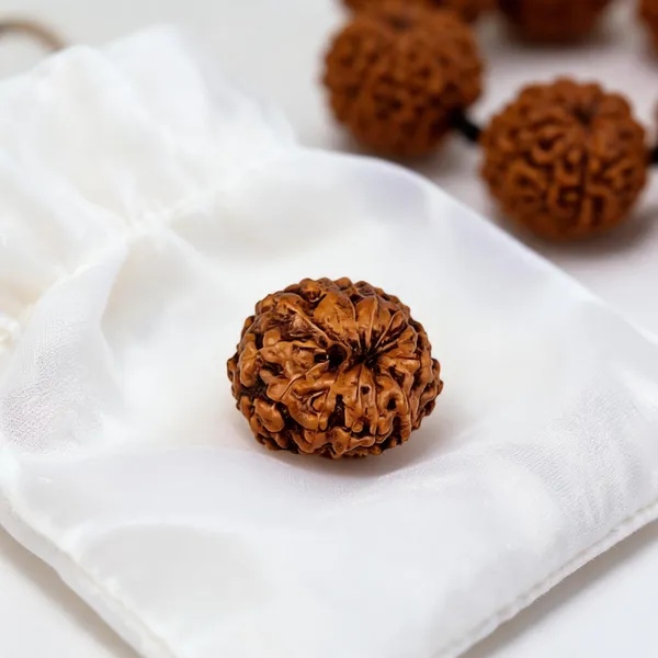Brown_Rudraksha_Bead