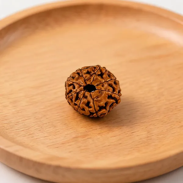 Brown_Natural_Rudraksha_Bead