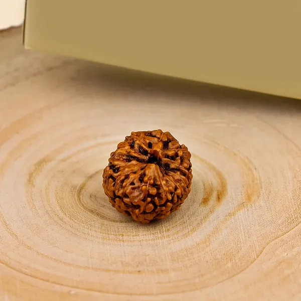 Brown_Natural_Rudraksha_Bead