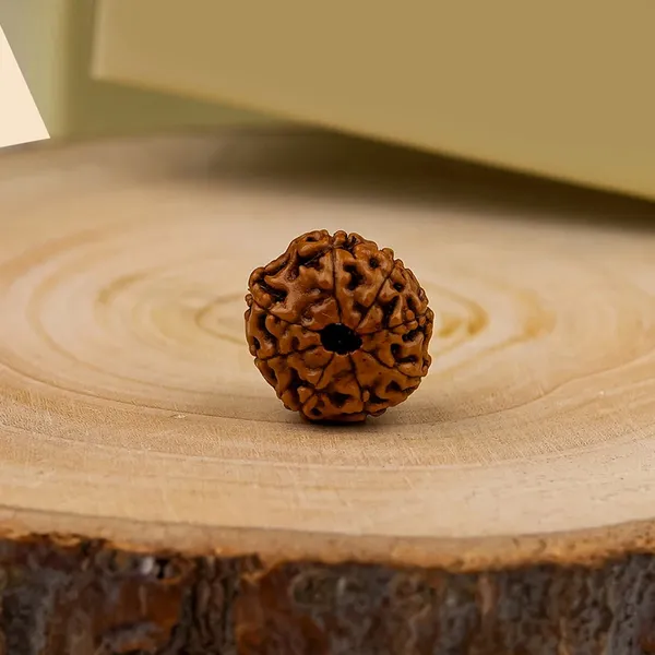 Brown_Natural_Rudraksha_Bead