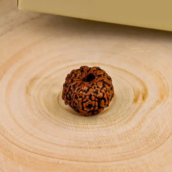 Brown_Natural_Rudraksha_Bead
