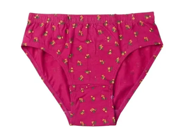 Printed_High_Waist_Briefs_Pack_Of_2_for_Women