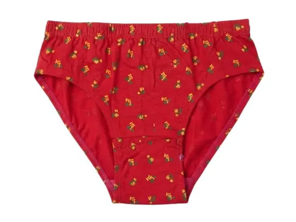 Printed_High_Waist_Briefs_Pack_Of_2_for_Women