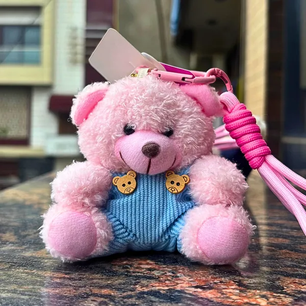 Teddy_Bear_Bag_Charm_&_Keychain_with_Lanyard_|_Large_size_|_Pink