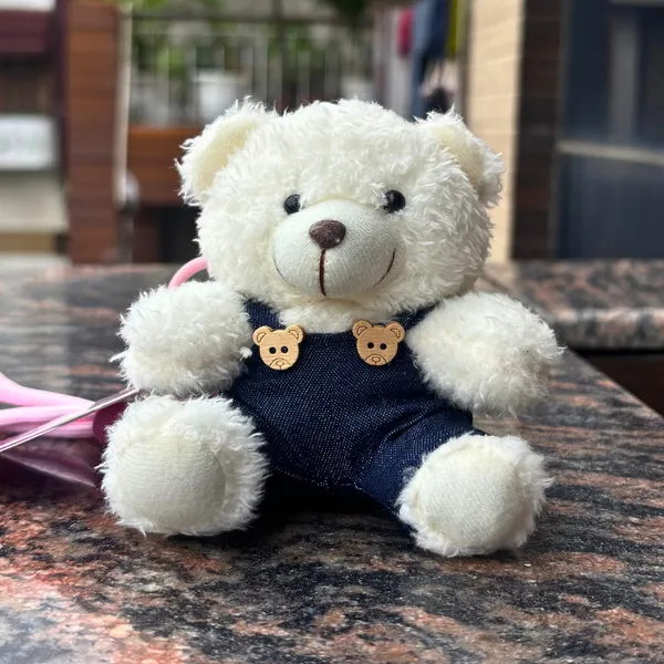 Teddy_Bear_Bag_Charm_&_Keychain_with_Lanyard_|_Large_size_|_White