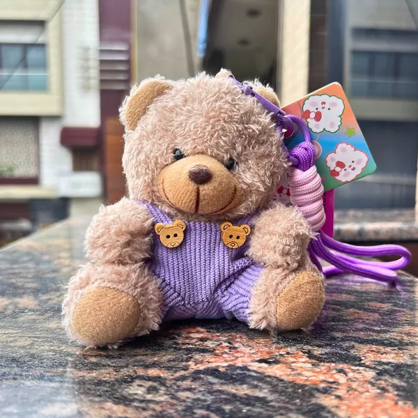Teddy_Bear_Bag_Charm_&_Keychain_with_Lanyard_|_Large_size_|_Brown