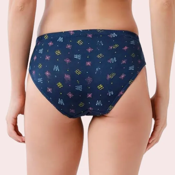 12_Piece_Plus_Size_Panties_Wholesale_Lot