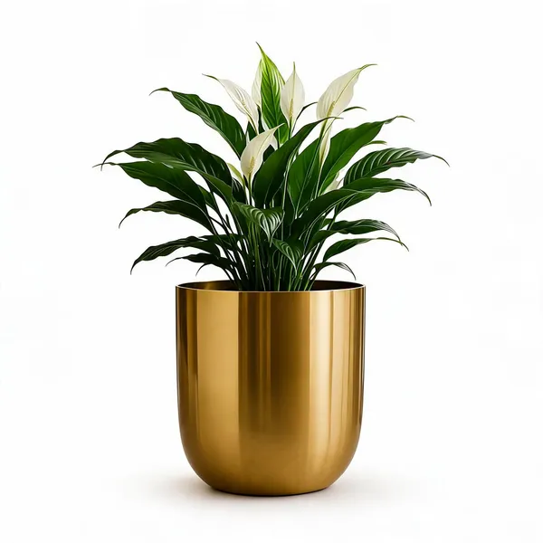 Gold_Metal_Planter_Pot_For_Home_Gardening