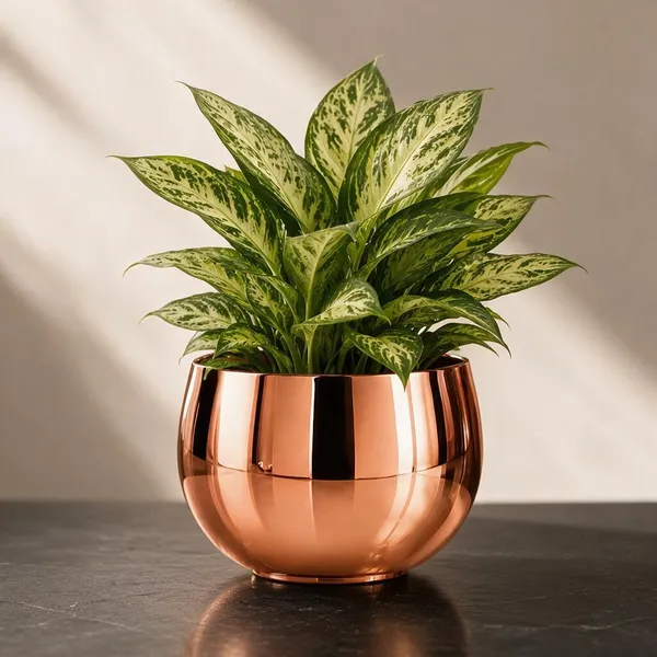 Copper_Metal_Decorative_Bowl_For_Home_Decor