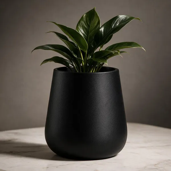 Black_Metal_Vase_For_Home_Decor