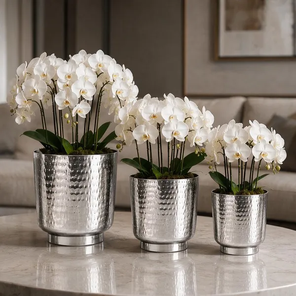Silver_Metal_Planter_For_Home_Gardening