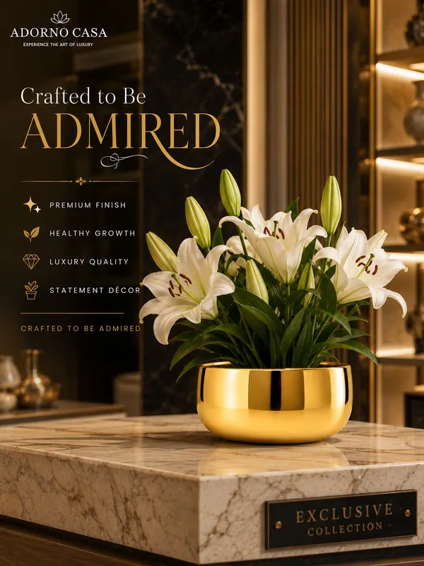 Halo_Metallic_Gold_Finish_Rounded_Bowl