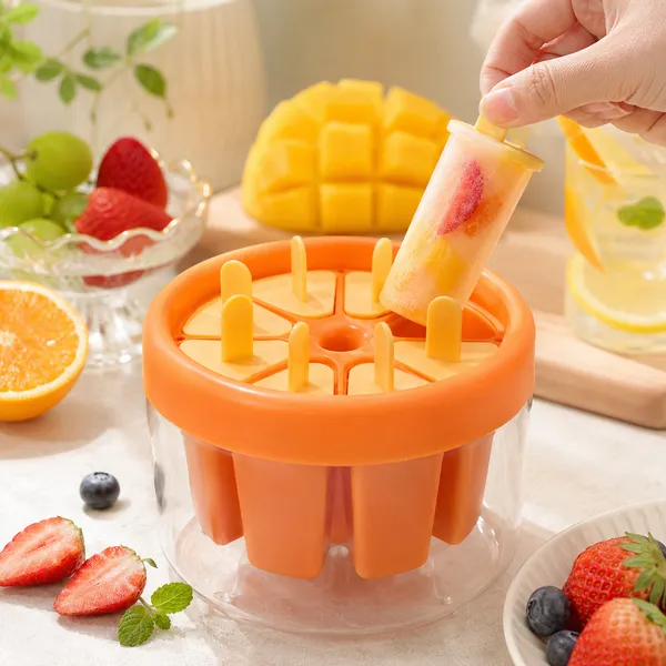 Transparent_Plastic_Multi_Cavity_Popsicle_Mould_Pack_Of_2