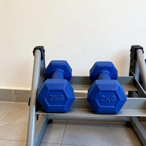 Wilora_Blue_Pvc_Hexa_Dumbbell_4_Kg_For_Home_Gym