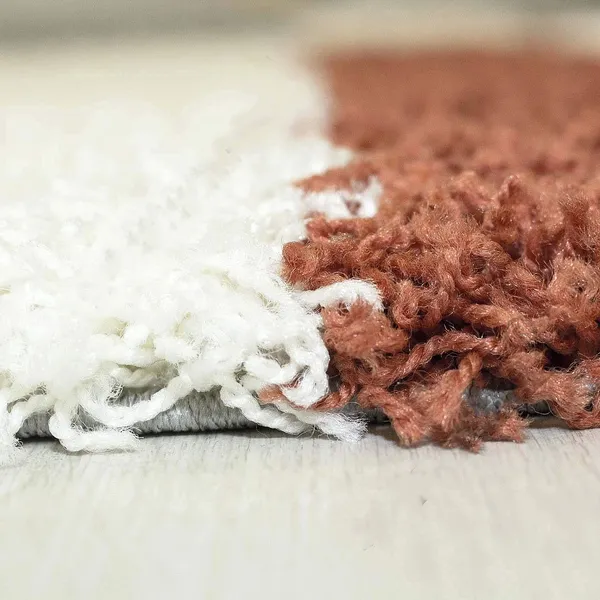 Plush_Shaggy_Carpet_Rug
