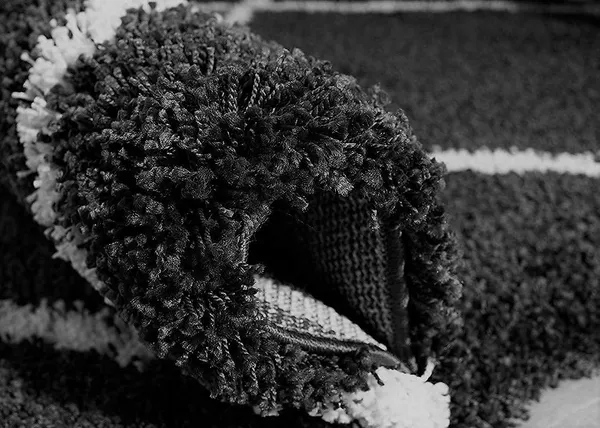 Daring_Shaggy_Carpet_Rug