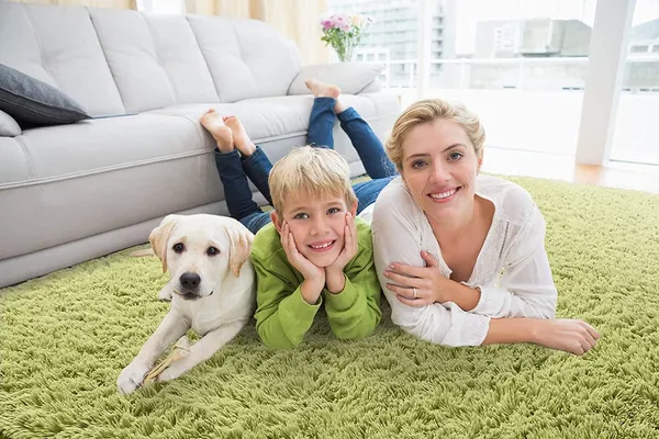 Luxfur_Shaggy_Carpet_Rug